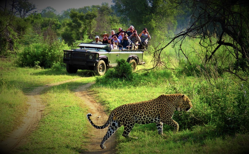 3 Day Chitwan Jungle Safari Adventure From Kathmandu/Pokhara